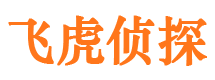 浔阳市私家侦探